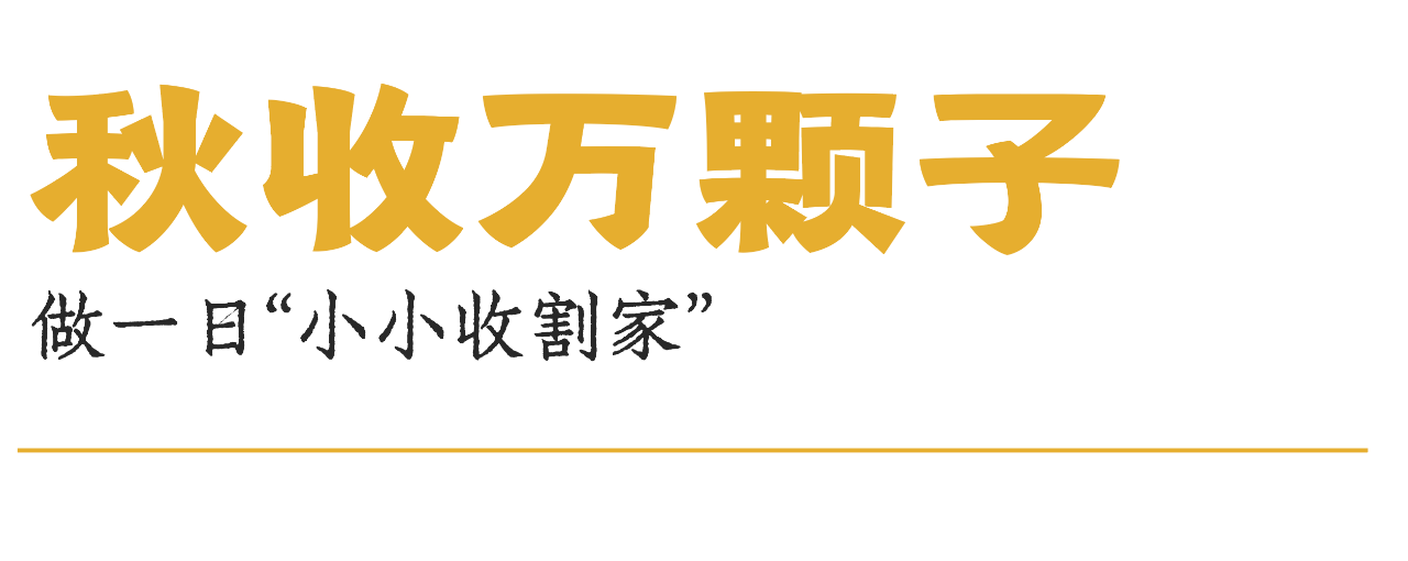 1762908769693597.png 2a02d741520e29968732b17b9fef696c.png