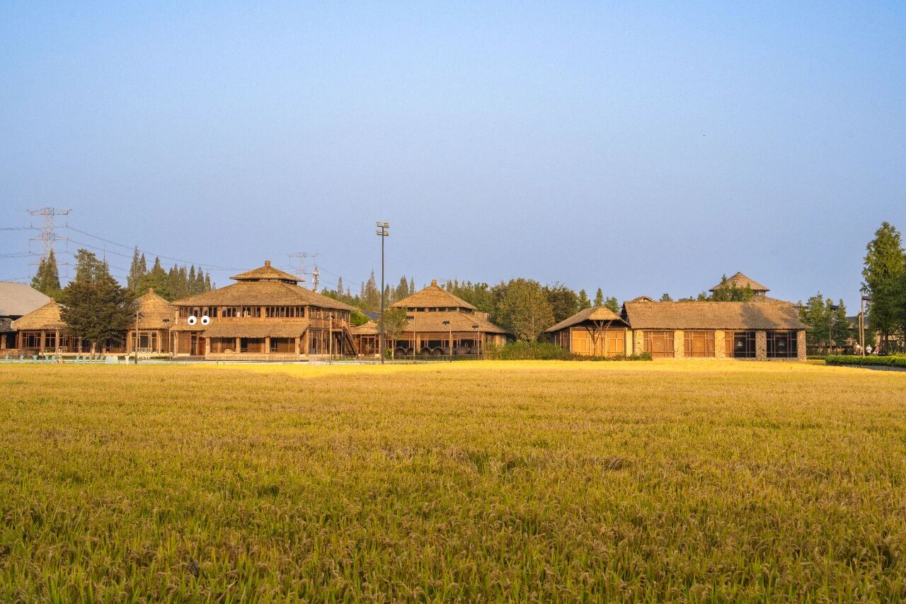 1762908780502071.jpg 44c56702af6ce693dcc18f23a8edbe13.jpg