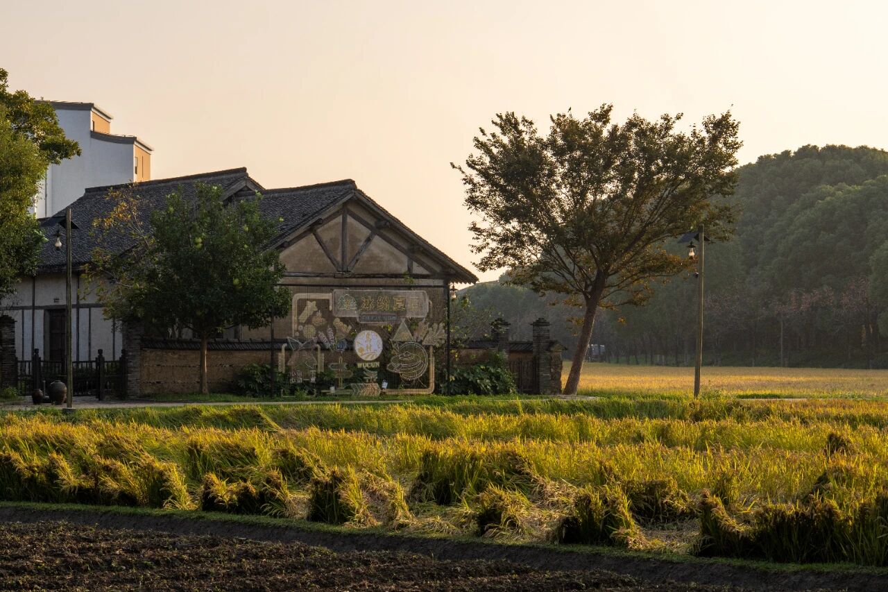 1762908831739926.jpg 3601ca551a25a708eba5c94308d36e63.jpg