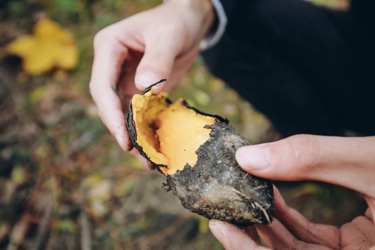 1762908846484315.jpg e9264260e7a2c8aed830034a32404102.jpg