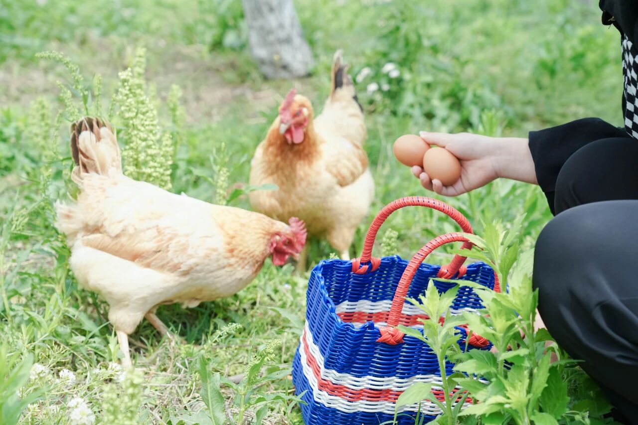 1762908911614234.jpg 282add6d002f4522736b03850d8f92a4.jpg