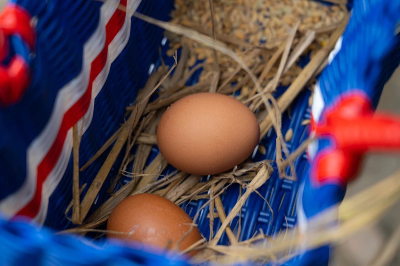 1762908918400735.jpg 0b45ef3a7d702f31afca00b558fe3237.jpg