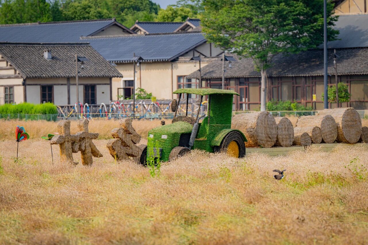 1762908936160817.jpg 0156fccf3a930296c488fb159595054a.jpg