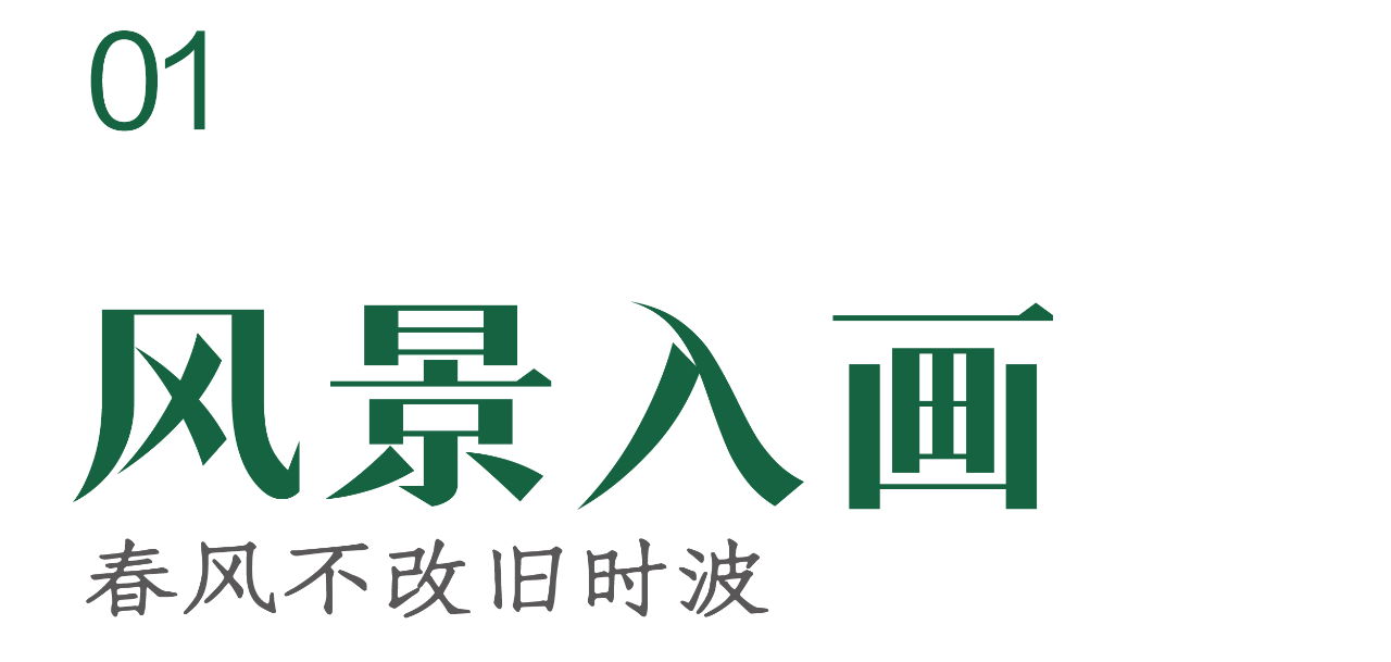 1763426849511869.png 9b789772b07ab5d214b4315eef85802b.png